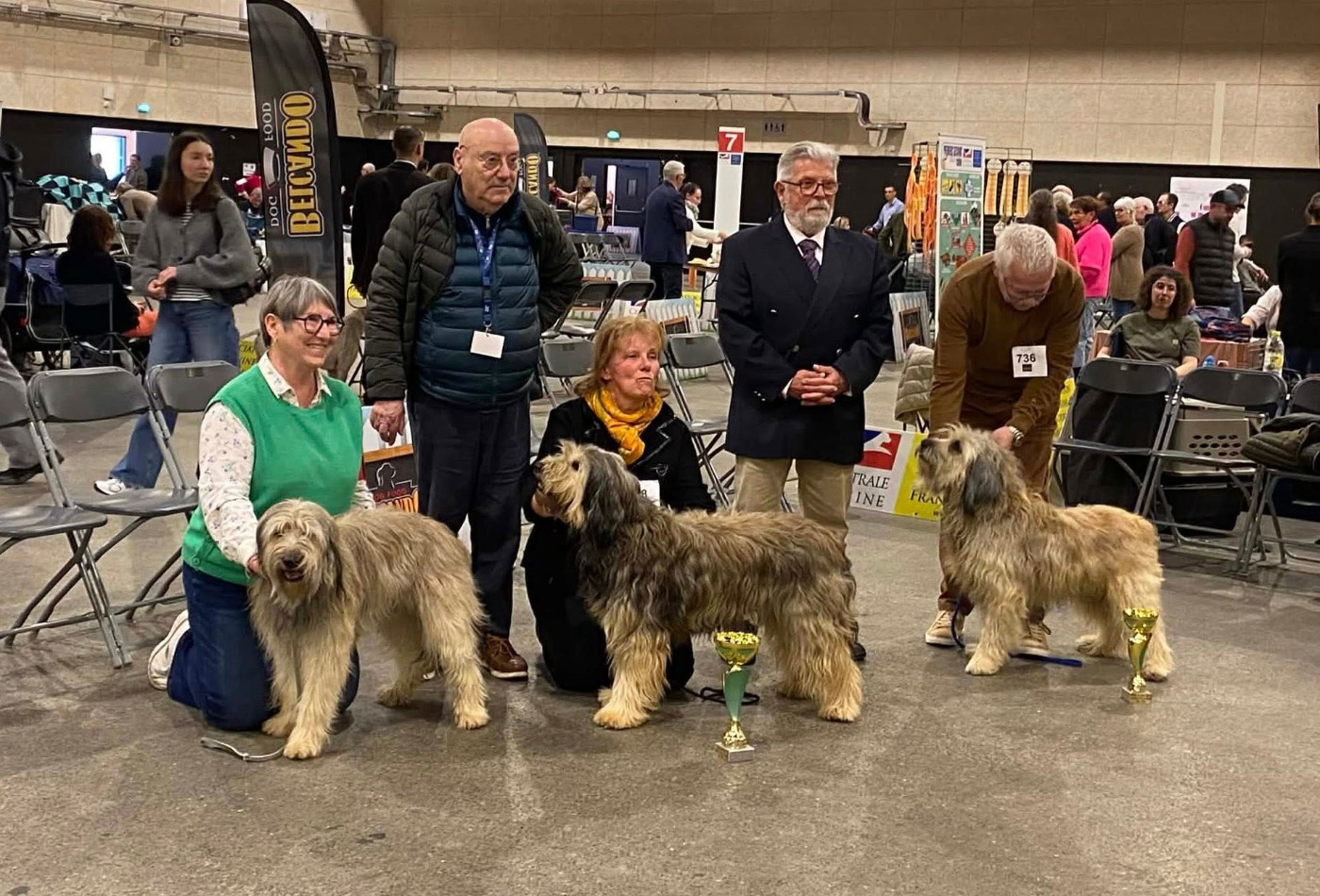 du clos de l'imagerie - Expo Spéciale des races Pyrénéennes